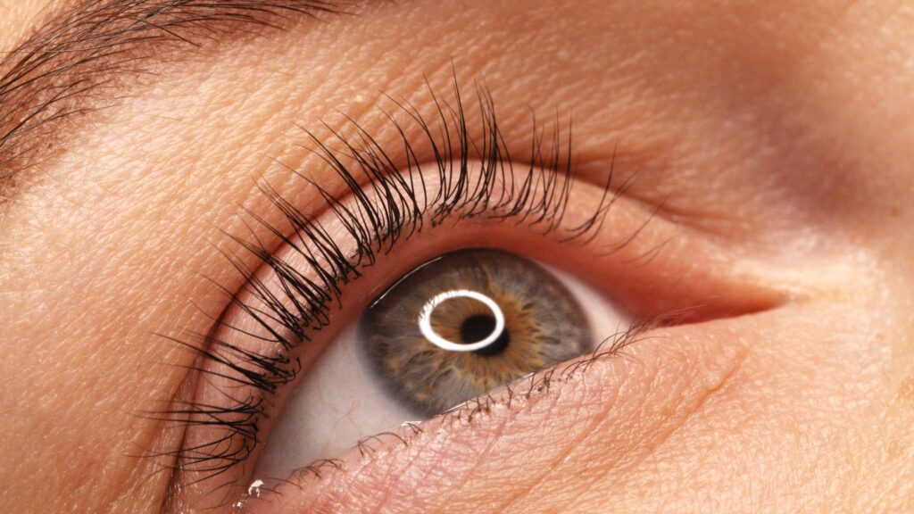 Lashlifting Ergebnis